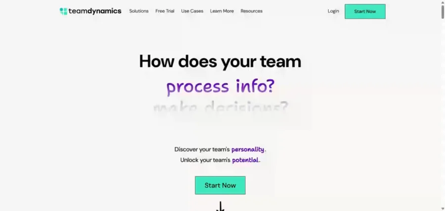 teamdynamics